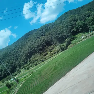 Profile image of 공경사