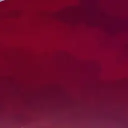 Profile image of 大神りうら