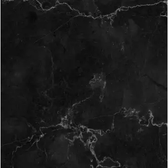 HumaneClean4964의 강태현