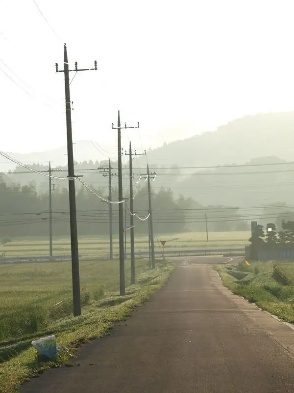 2x5_q의 人じゃない‥？