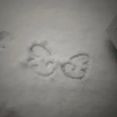 Profile image of ジェイク