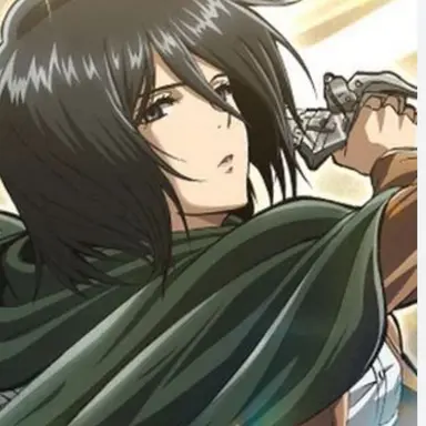 Profile image of ミカサ