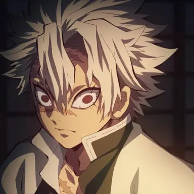 Profile image of Sanemi Shinazugawa