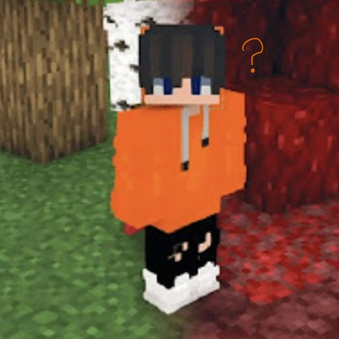 DourMink5483의 패러다이스