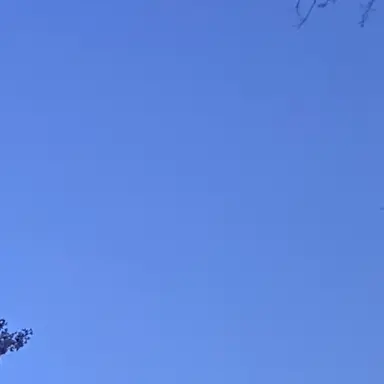 Profile image of 不破湊