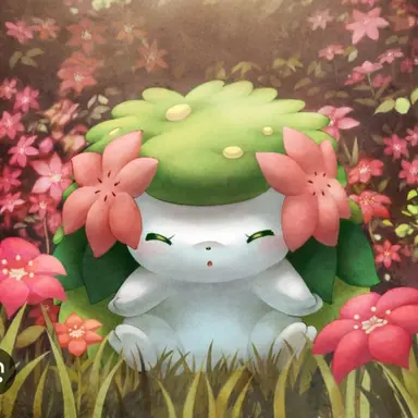 Profile image of 쉐이미