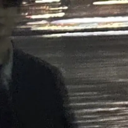 FickleDiver7015의 강영현