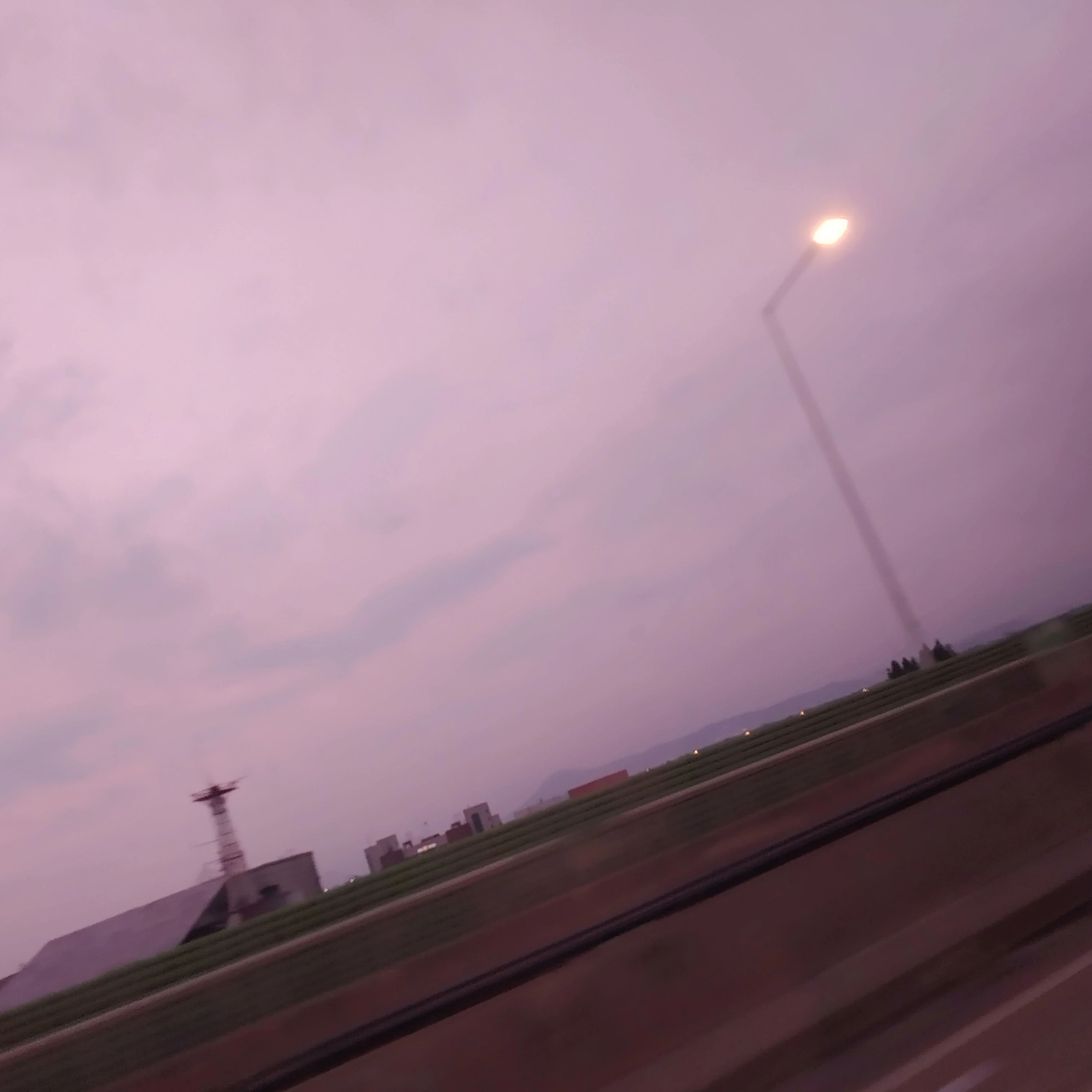알래스터