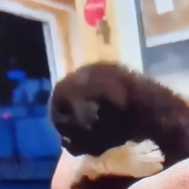 Profile image of 태인아