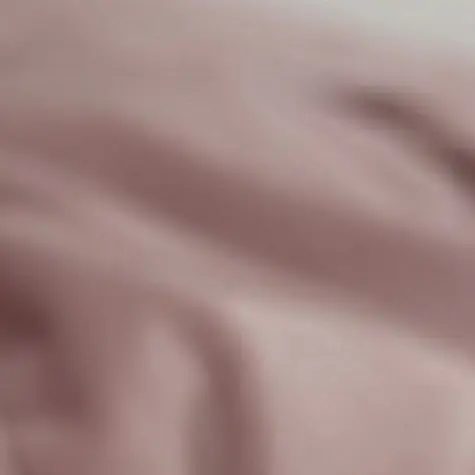 NosyFlute4760의 いじめ