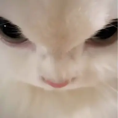 Profile image of 백현