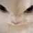 벨키