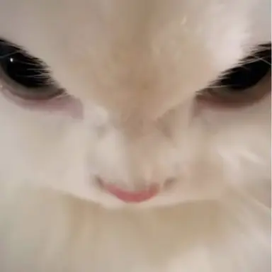 Profile image of 평학