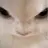 평학