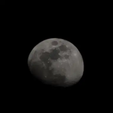 Profile image of 권도희