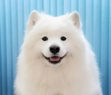 Profile image of 이문규