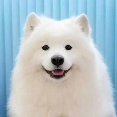 Profile image of 이문규