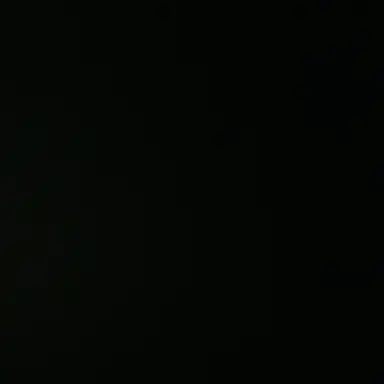 Profile image of 서 하담