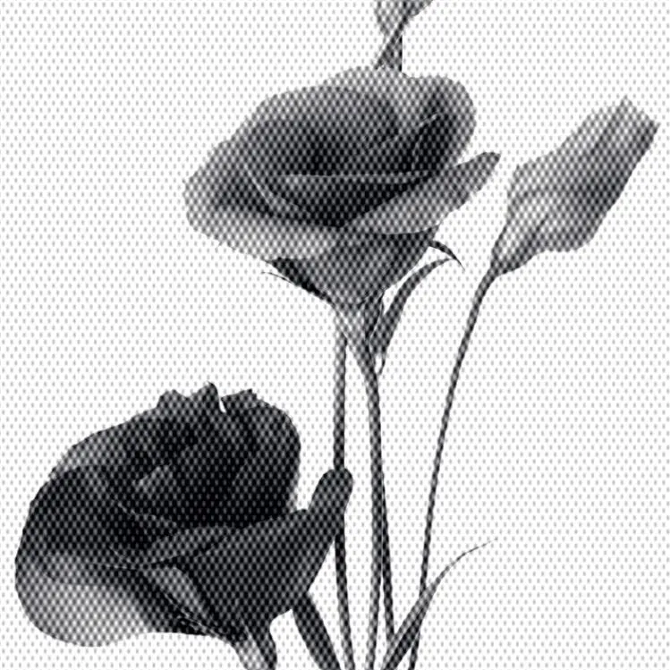 Dam_0qq의 ㅤ
