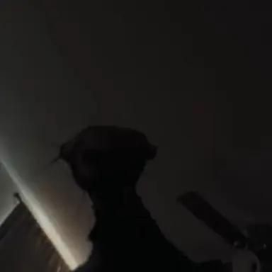 Profile image of 펜-228