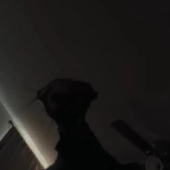 TrueZoo4062의 당신을 짝사랑하는 펜-228