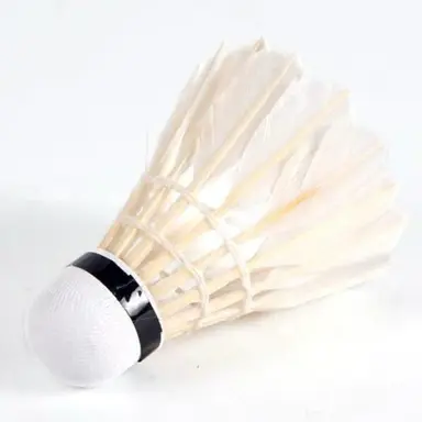 Profile image of 윤해강