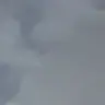 Profile image of マット