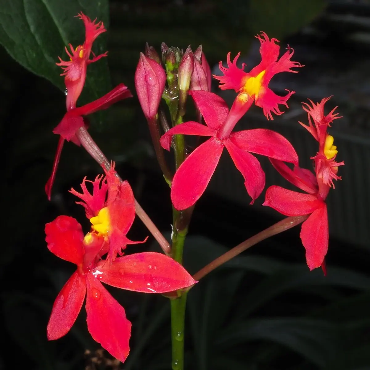 SolemnDrone9046의 Five Days with Father-in-Law