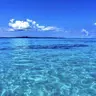 Profile image of 海の家店員とバイト人