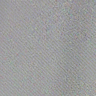 오영광