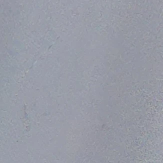 김주양