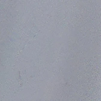 표선호