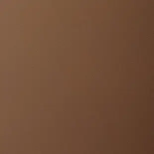 Profile image of 니콜로 파가니니