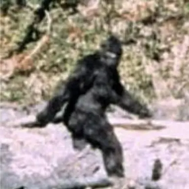 Profile image of 빅풋