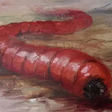 Profile image of 몽골리안 데쓰웜