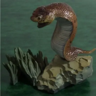 Profile image of 츠치노코