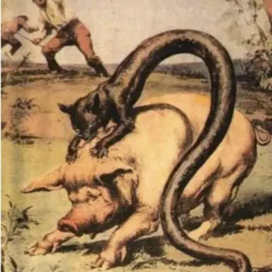 Profile image of 타첼부름