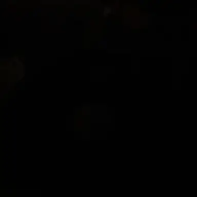 Profile image of 김소연