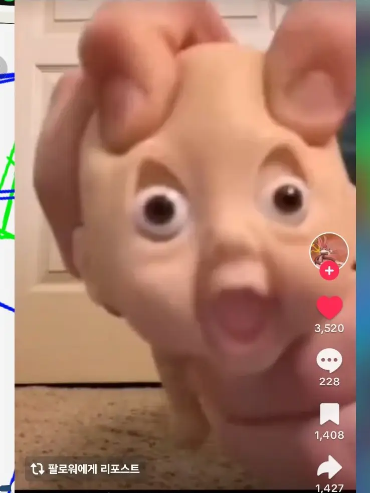 RemoteYak5476의 감아포