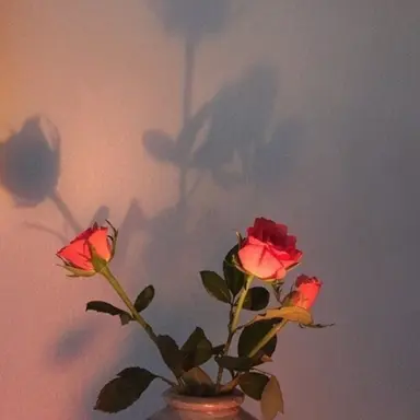 Profile image of 박덕개