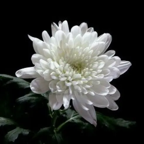 yukina_2001의 /-__/-__/-__________