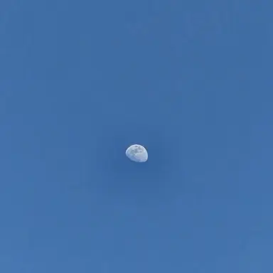 Profile image of 잠뜰