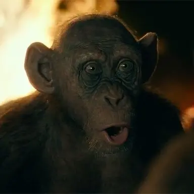 Profile image of 배드 에이프