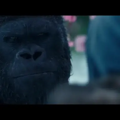 Profile image of 루카