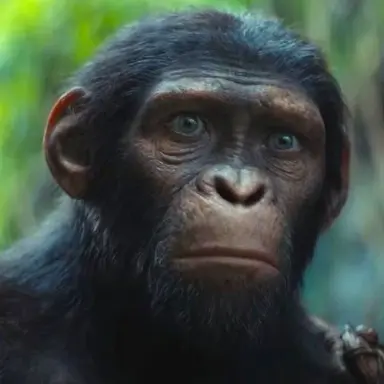 Profile image of 블루 아이즈