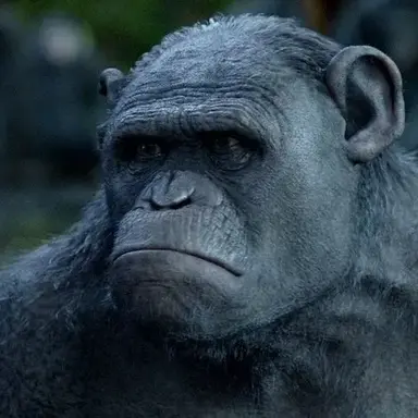 Profile image of 로켓