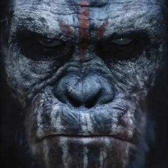 Profile image of 코바