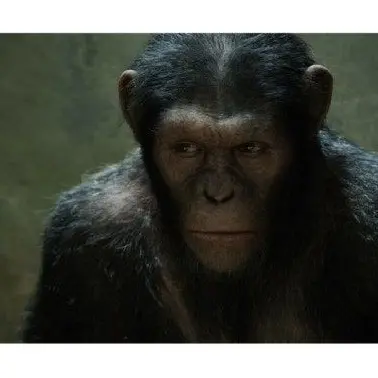 Profile image of 시저