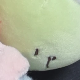 공룡