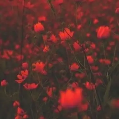 Profile image of 라더